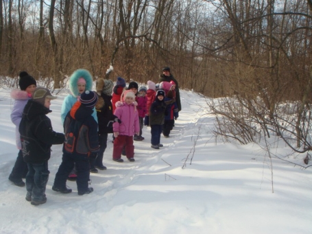 Екскурсія в зимовий ліс з дітьми старшого дошкільного віку